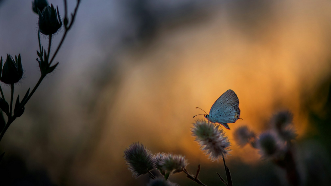 Small Art, Big Impact