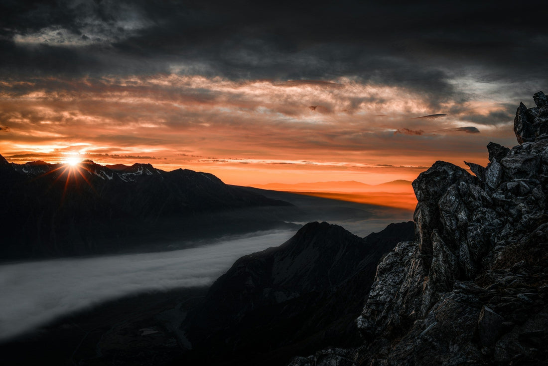 Your Guide to Choosing Nature-Inspired Art