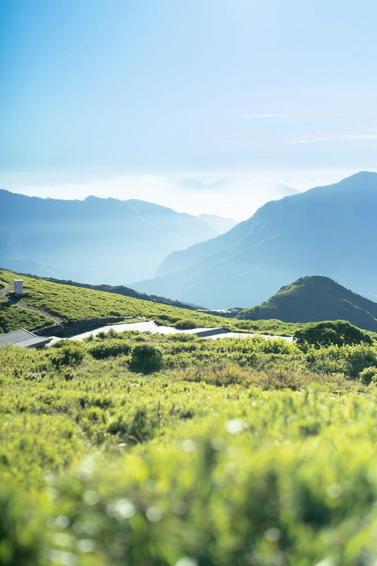 peaceful scene of nature, calming grassy hills and mountains