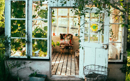 Cozy space with plants