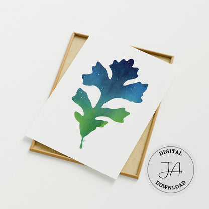 Oak Leaf Wonder